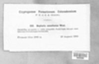 Image Associated With the Occurence